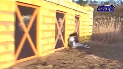 Takeshi's Castle Season 7 Episode 10 HD 720p