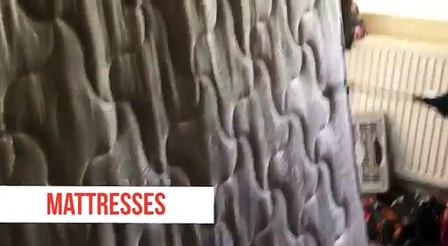 Bed Bug Pest Control - BED BUG TREATMENT BY FANTASTIC PEST CONTROL