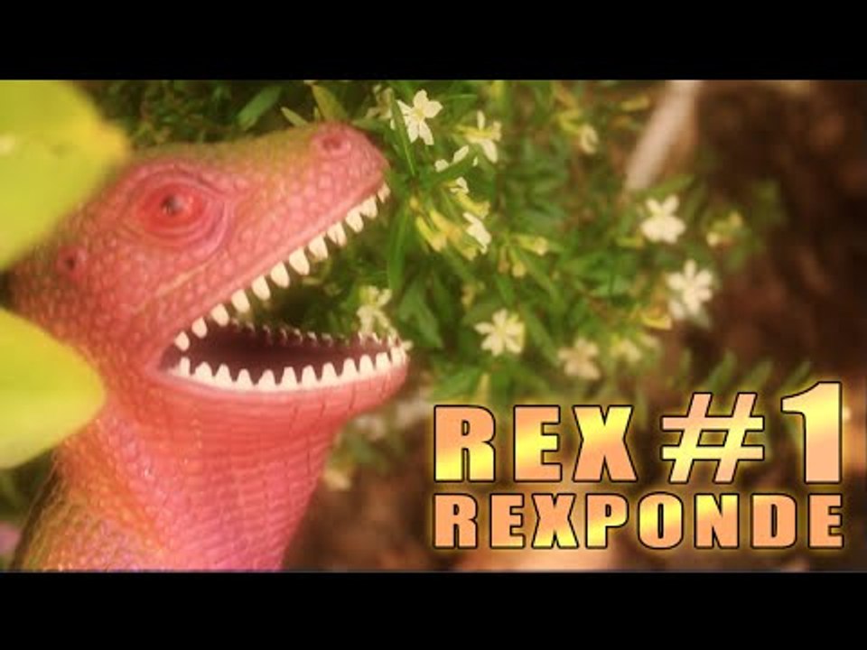 Rex Rexponde #1
