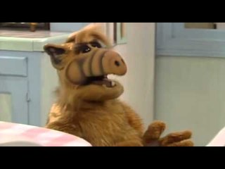 Marito Baracus - FAL