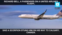 United Airlines passenger stung by scorpion on flight