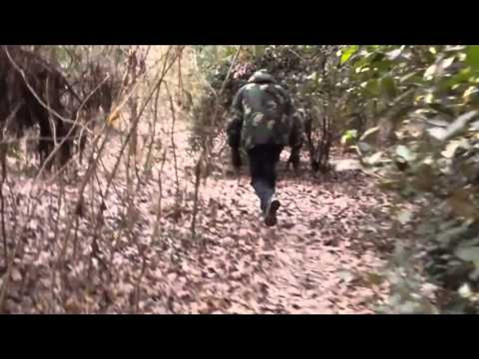 Back - Caballero Templario (Leon se pierde en el Bosque)