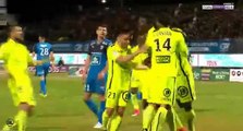 Zakaria Diallo Goal HD - Niort 0-3 Brest 14.04.2017