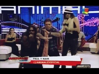 Paul & Maik en el programa de TV "Animales Sueltos"