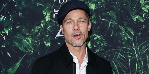 Brad Pitt Steps In To Save His Kids After Scary Incident Under Angelina&#039;s Care