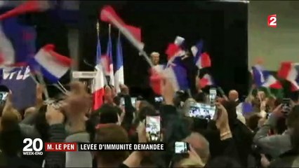 Marine Le Pen : la justice française demande la levée de son immunité au Parlement européen (franceinfo)