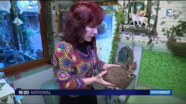 Deux tiers des hérissons ont disparu en France en vingt ans