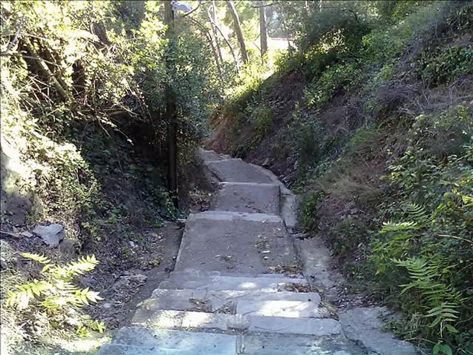 Per un tros del teu cos