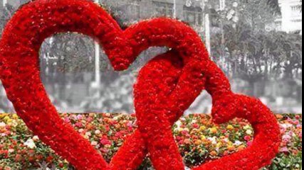 cheb Bilel ( ok ok ) , الشاب بلال ( أوكي أوكي )