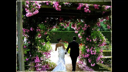 cheb Bilel ( milliard ) , الشاب بلال ( مليار )