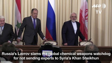 Lavrov slams chemical weapon watchdog over Syria