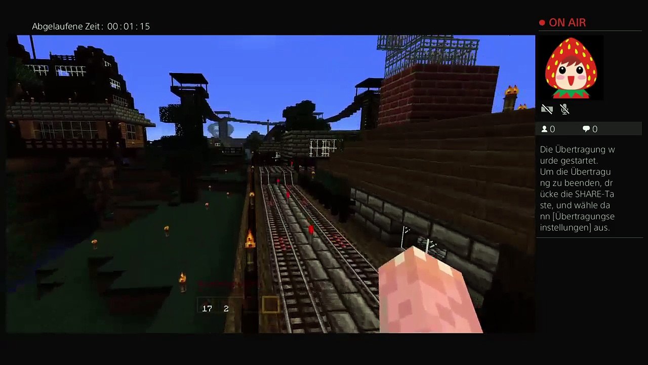 PS4-Live-Übertragung von mir (16)