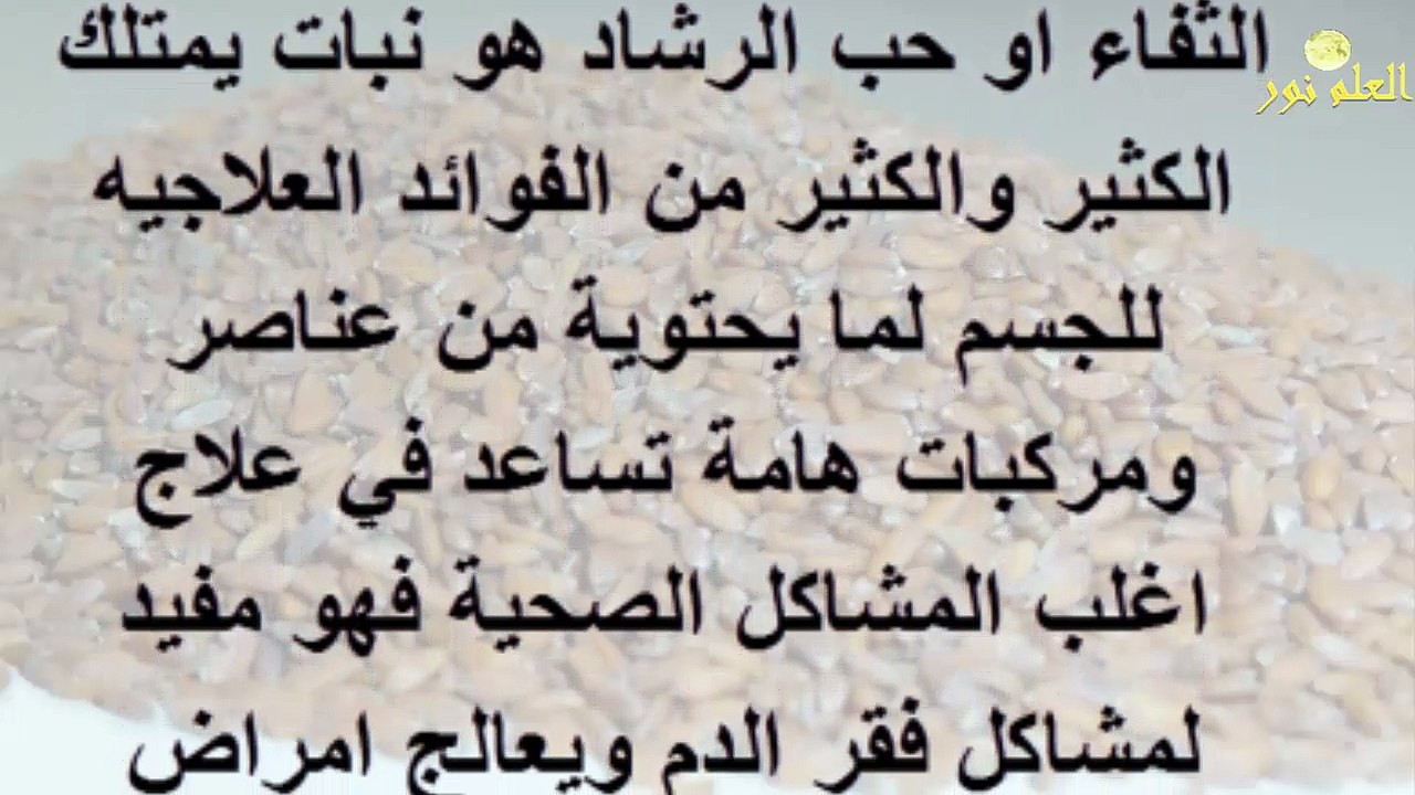 4 فوائد واستخدامات مزهلة للثفاء | فوائد حب الرشاد للسيدات
