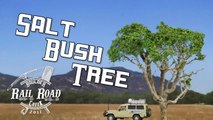 Designer Trees using Salt Bush – Model Railroad Scenery-K0wps1_