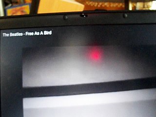 FREE AS A BIRD with MOTHER & FATHER GOD