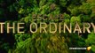 Enchanted Kingdom 3D (2014) Documentary HD Movie Trailer  Idris Elba, Lambert Wilson http://BestDramaTv.Net