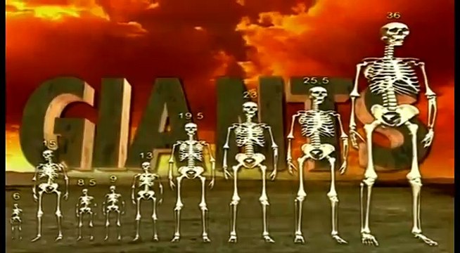 I giganti sono esistiti realmente? Dopo aver visto questo ve lo chiederete anche voi.