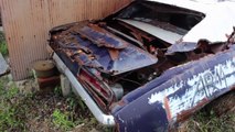 Rotten But Not Forgotten - 1969 Camaro SS 350-XSZr7