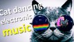 Cats dancing Electronic music - Remix