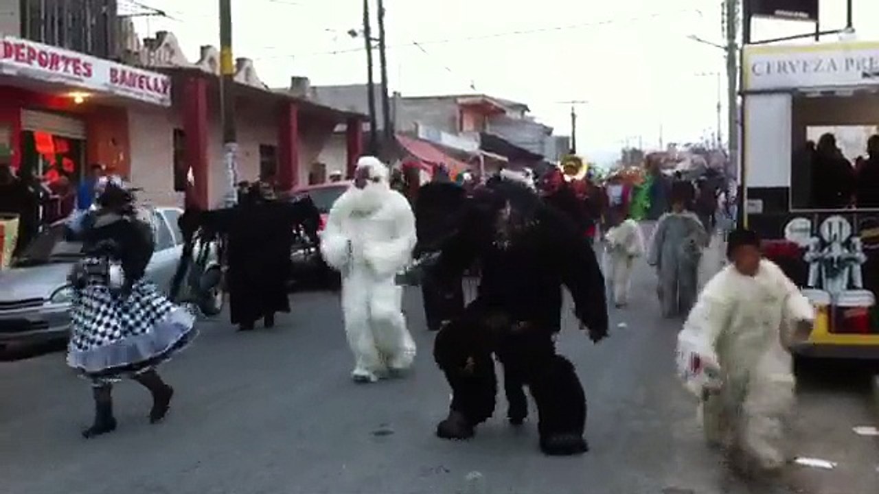 Carnaval Estacion de Apulco 2016