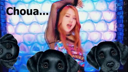 TENTANDO CANTAR BOOMBAYAH  BlackPink