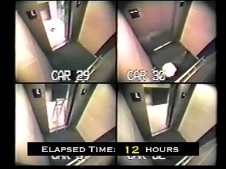 SHOKUESE! Vëlla e motër filmohen duke kryer marrëdhënie seksuale