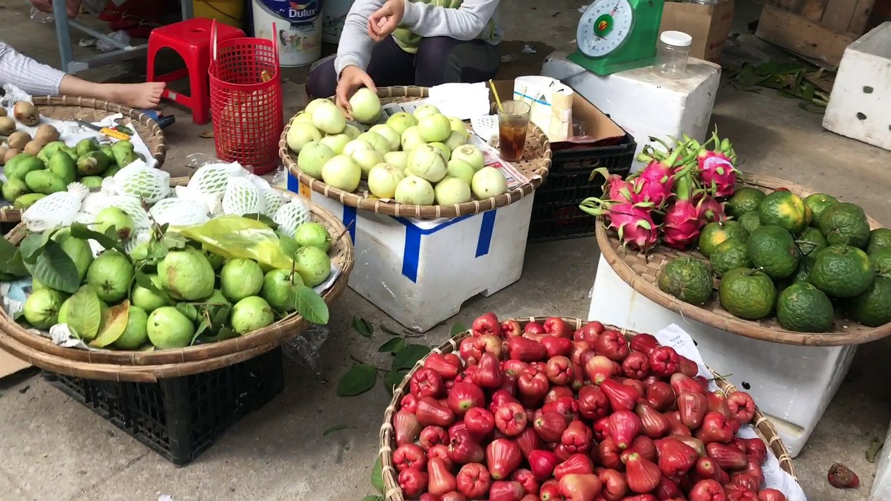 First Week Vietnam 