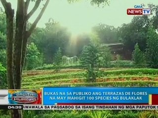 BP: Bukas na sa publiko ang Terrazas de Flores na may mahigit 100 species ng bulaklak