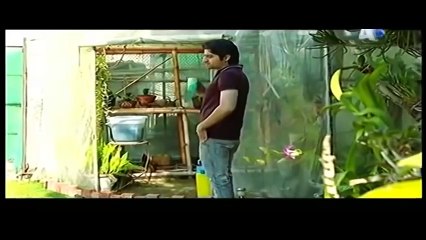 Gohar e Nayab | Episode 17 | APlus Entertainment