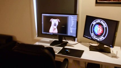 Get Wild Studios Pet Photography Studio Tour