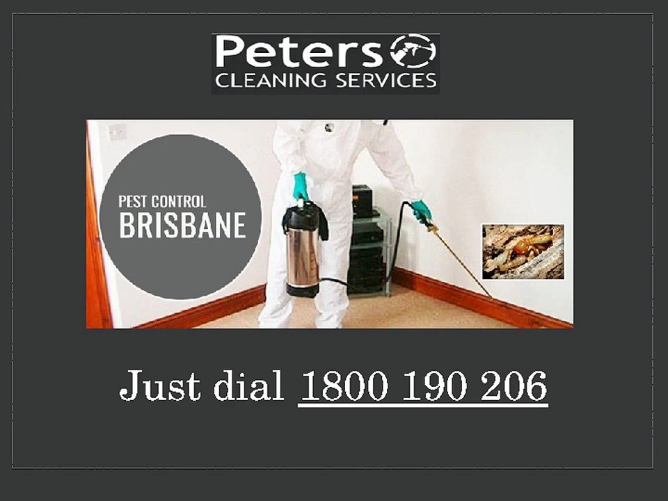 Brisbane_Pest_Exterminator