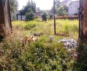 Lô đất nền trung tâm Thủ Dầu Một Bình Dương kế KDC Chánh Nghĩa. Liên hệ: 0909946434