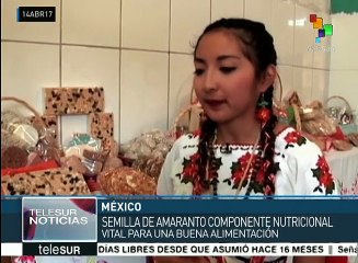 México: amaranto, producto agrícola con alto valor nutricional