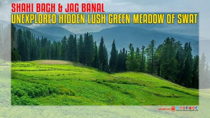 Unexplored Hidden Lush Green Meadow Of Swat, Shahi Bagh & Jag Banal