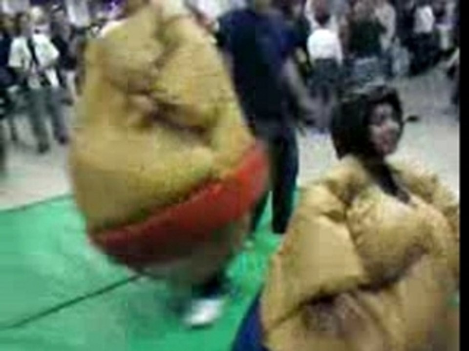 Sumo Fight