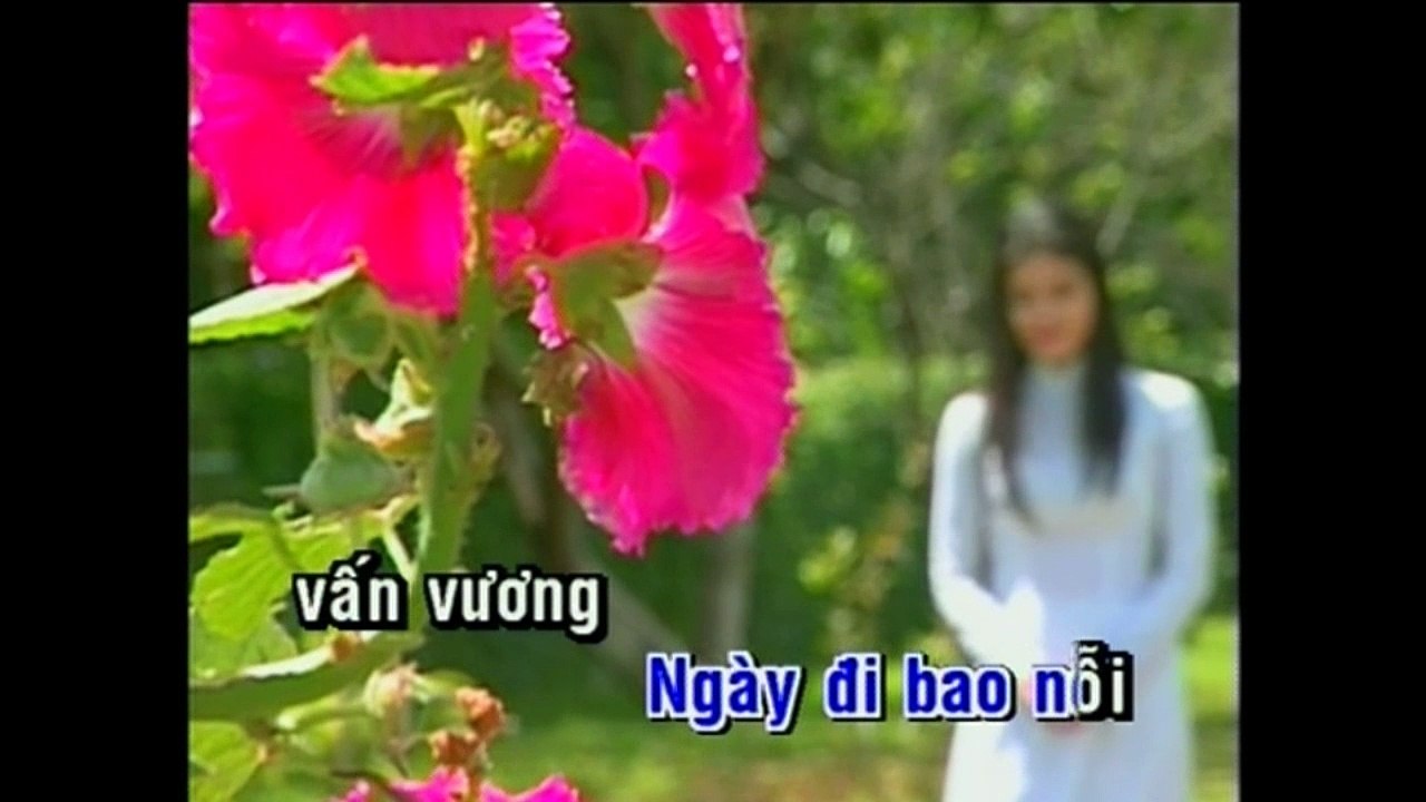 Dang Dở Quang Lê
