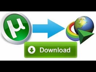 How to download Torrent file from IDM