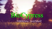 0815-7109-993 (Bpk Yogies) Biosipres Bandung, Biocypress Indonesia
