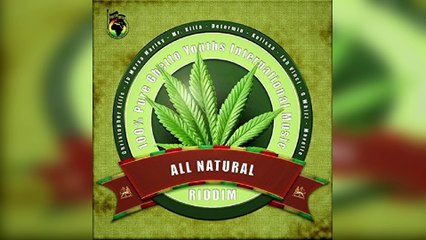Faya Gong - All Natural Riddim Mix Promo 2017