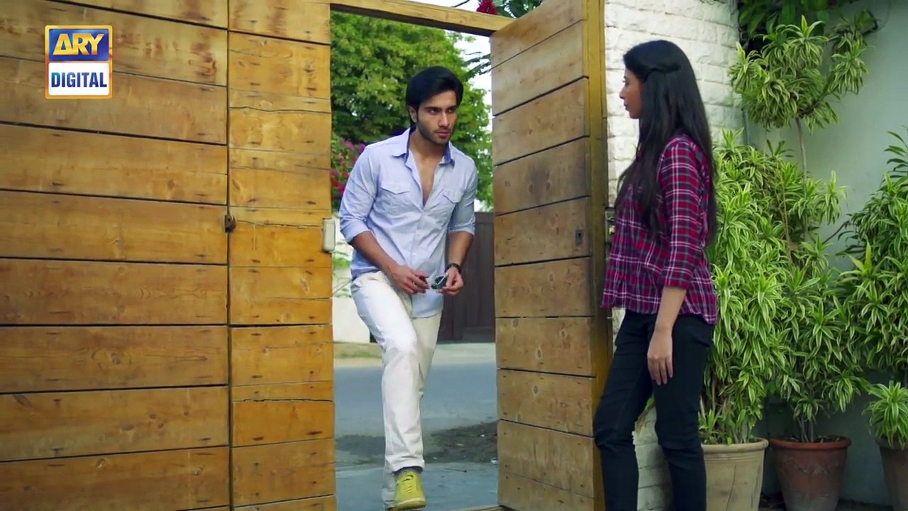 Tumse Mil Kay Last Episode - ARY Digital Drama