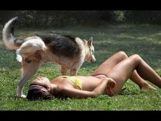 Dogs just never Fail to make us laugh Funny Dogs Video 2017 funny dogs compilation 2017