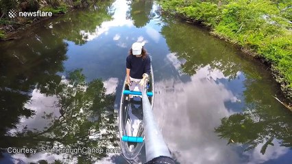 Rare manatees pass by see-through canoe