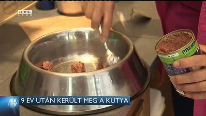 9 év után került meg a kutya