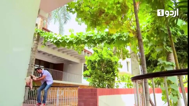 Bekar Bakra Telefilm | Urdu 1 EID SPECIAL part 1/2