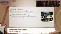 Lemon Tree - Fool's Garden Guitar Backing Track