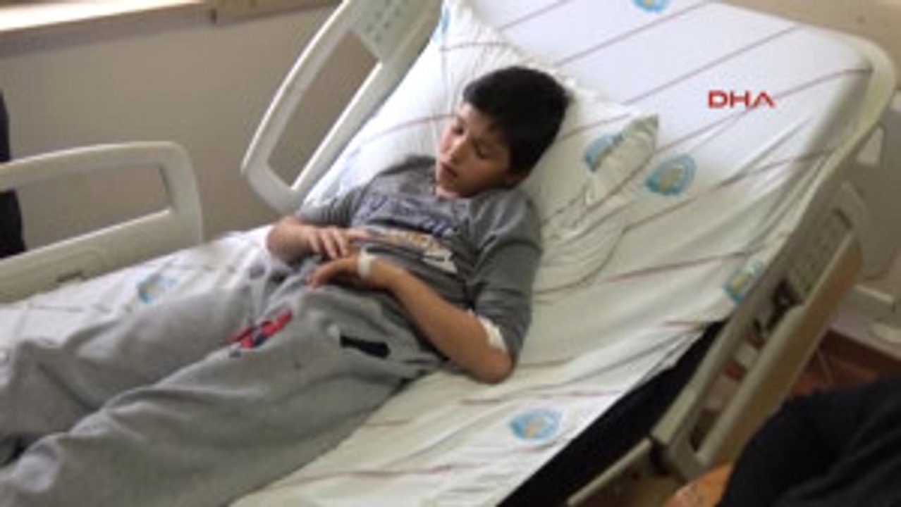 Mersin Duvardan Atlarken Karnına Demir Saplandı