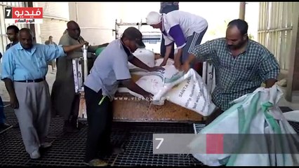 بالفيديو ... محافظ قنا يتفقد شون وصوامع القمح