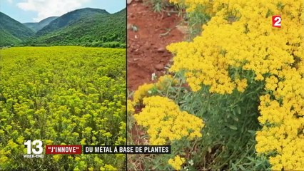 "J’innove" : du métal à base de plantes