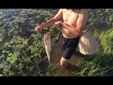 Amazing Net Fishing - How to Fishing with Hooks Line Fishing- Cambodia Traditional Fishing