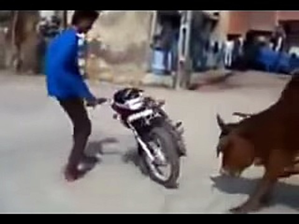Show-off Biker Dar Gaya